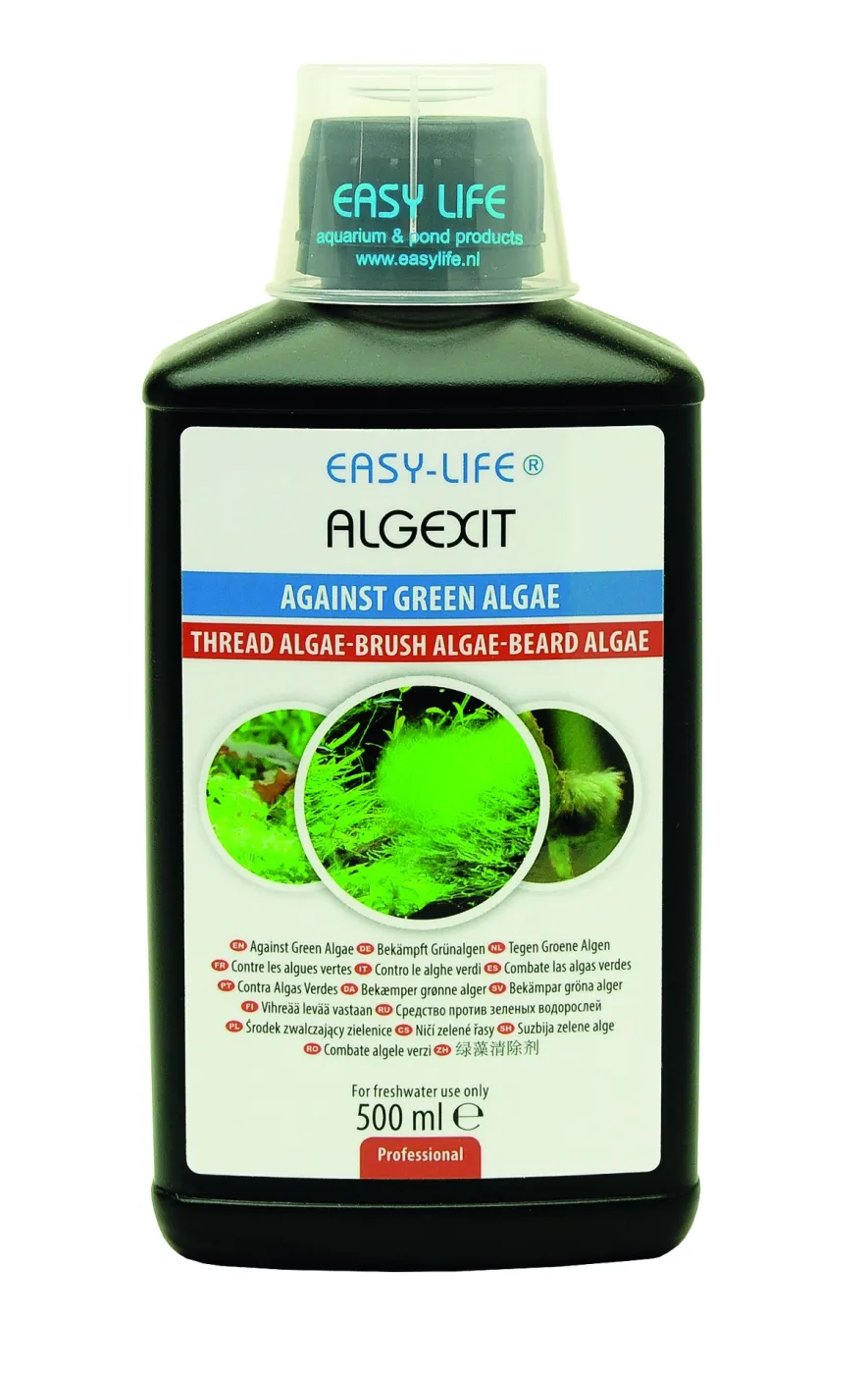 Easy-Life AlgExit