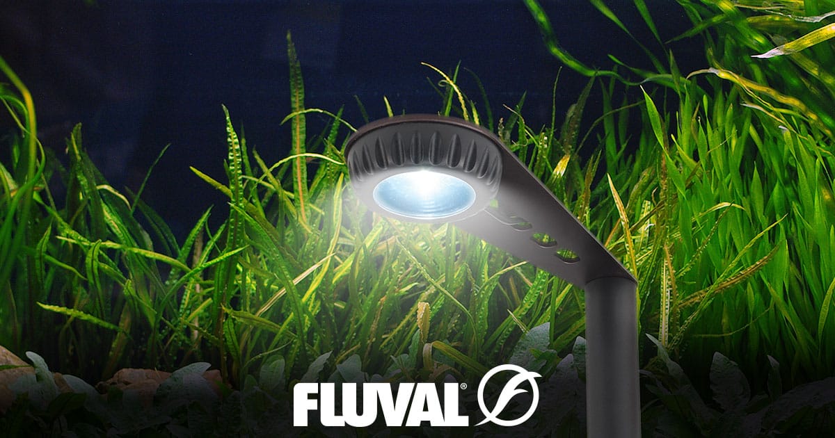 Fluval - Nano Bio Foam