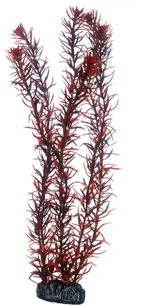 HOBBY Eusteralis 39cm