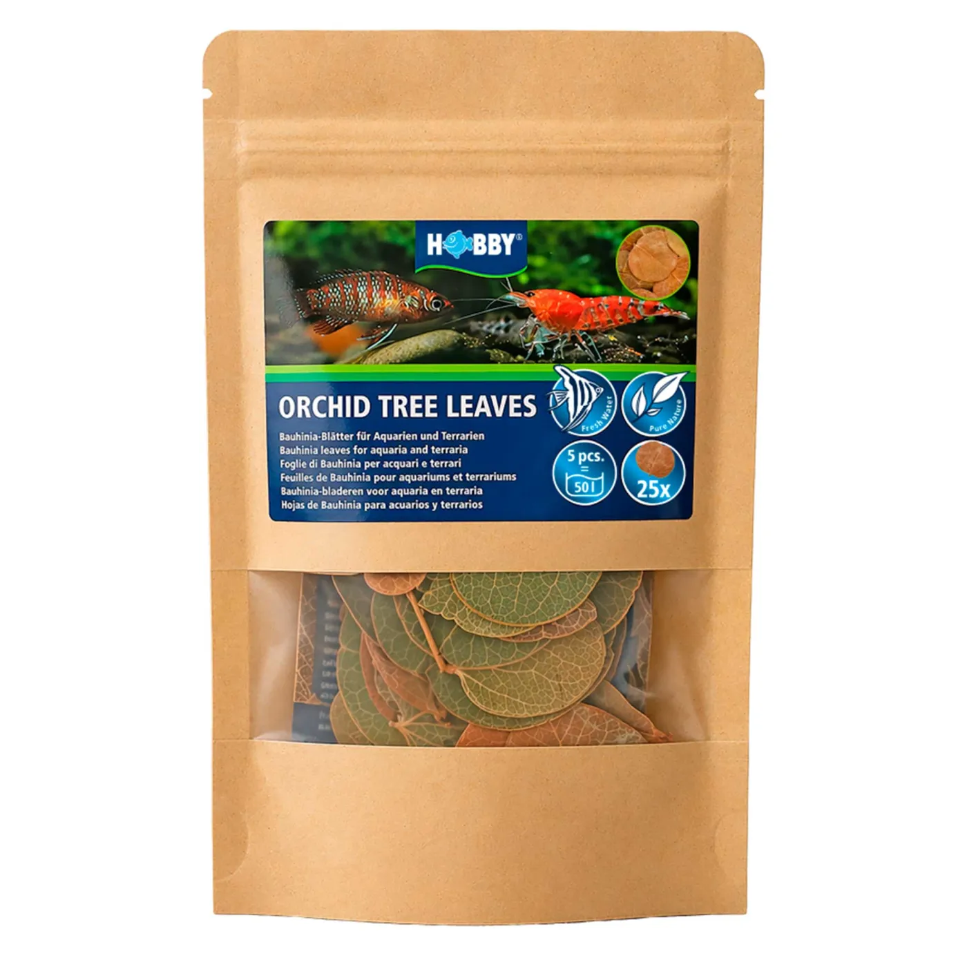 Hobby | Orchid Tree Leaves - 25 Stk.