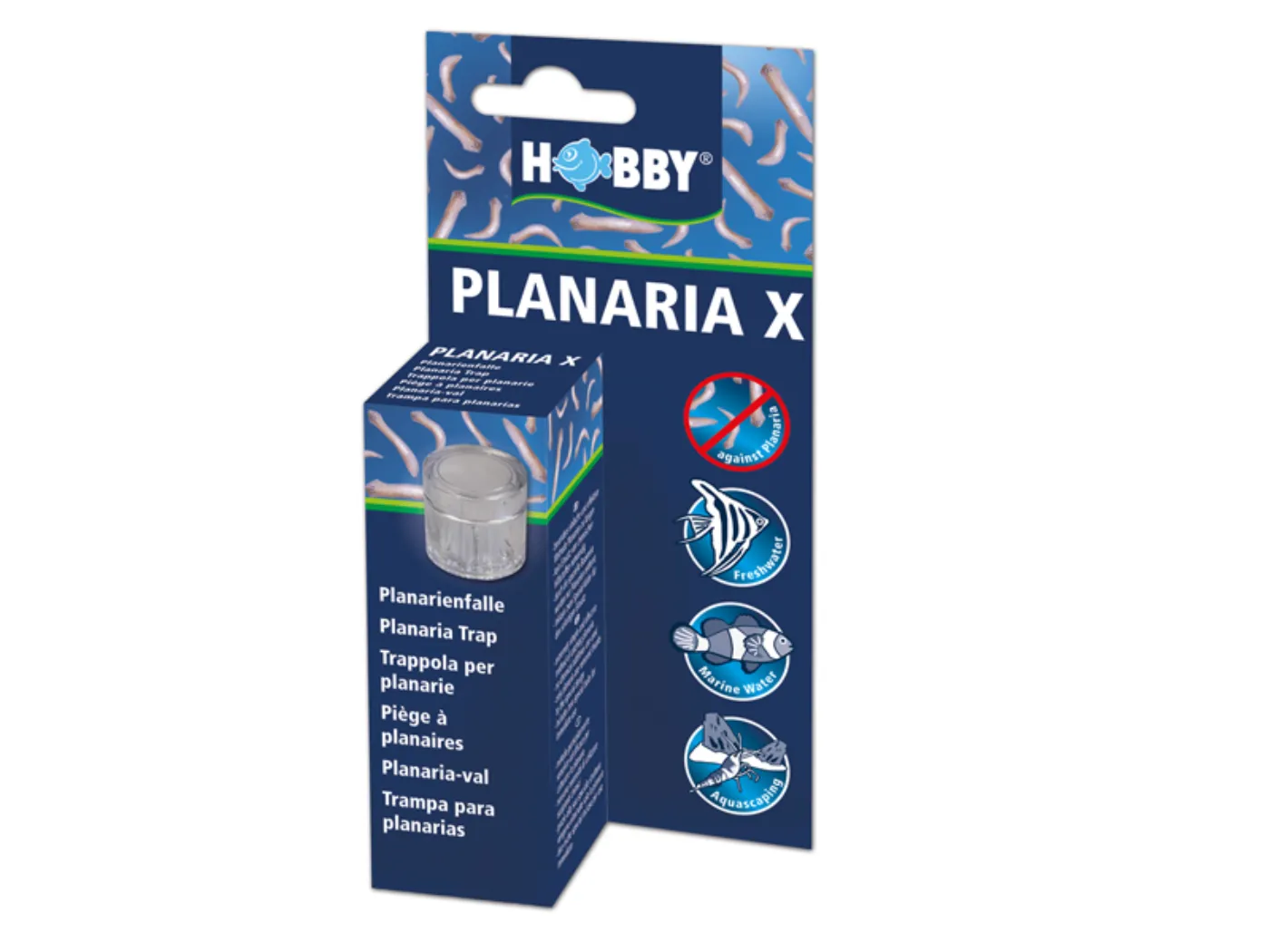 Hobby - Planaria X
