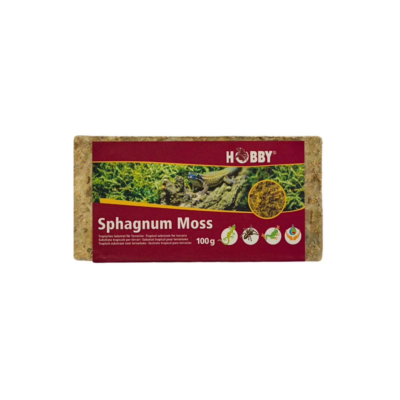 Hobby - Spaghnum Moss - 100 g