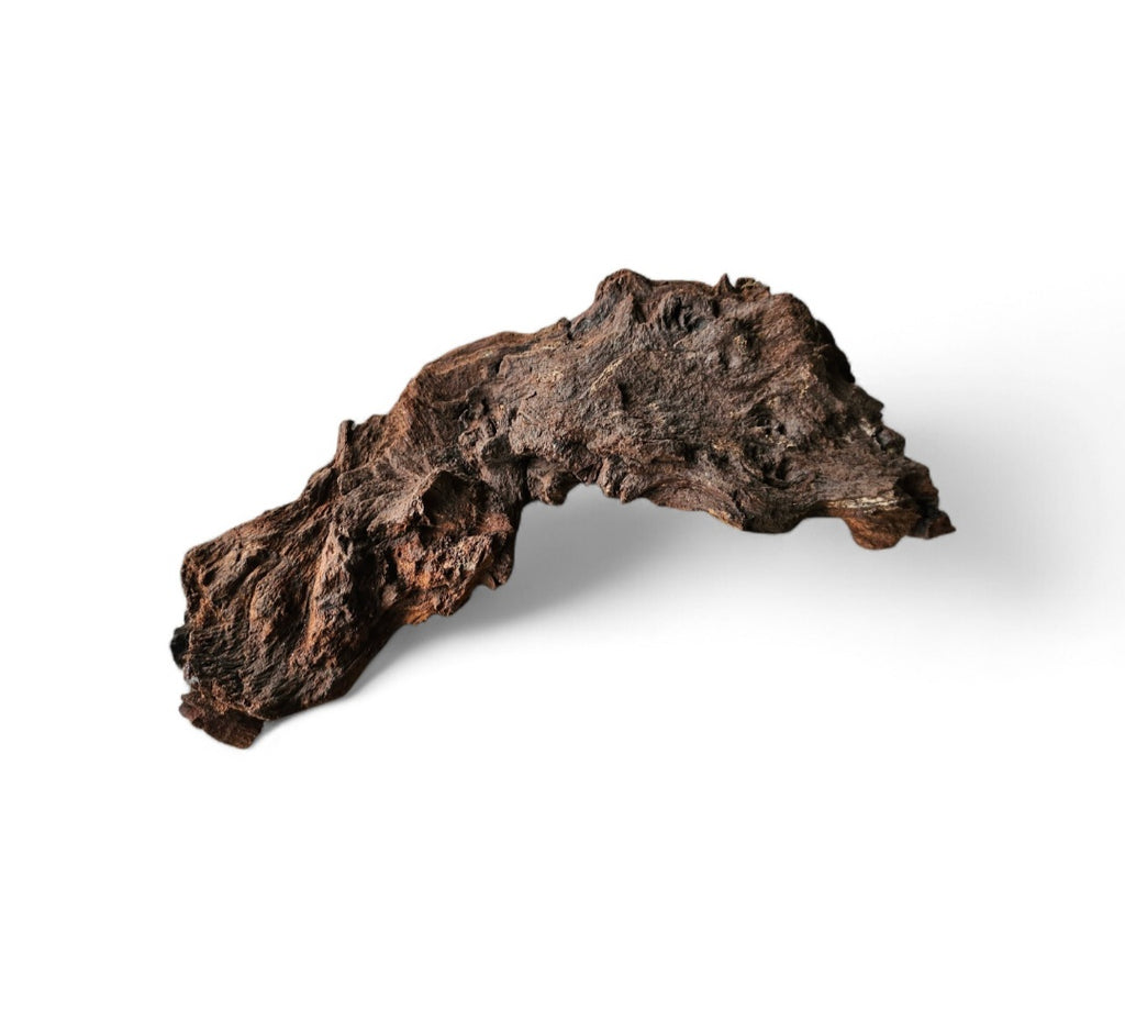 Mopani Wurzel Nr.28