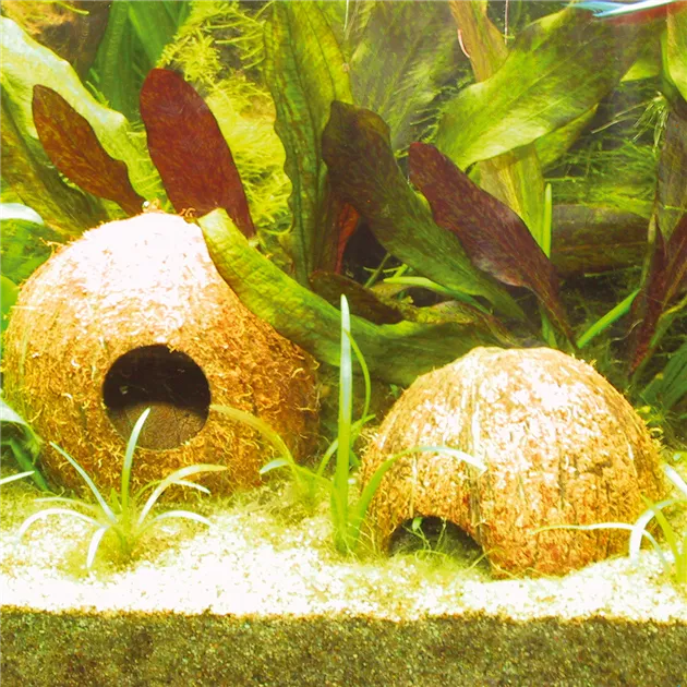 JBL Cocos Cava 1/2 M