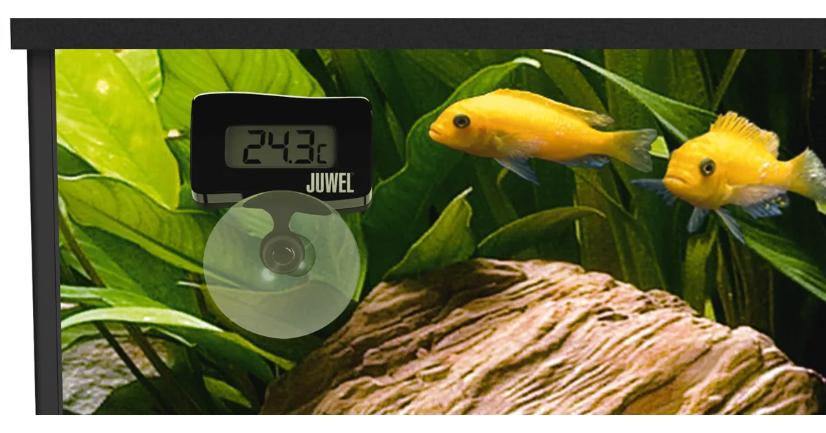 JUWEL Digital-Thermometer 2.0