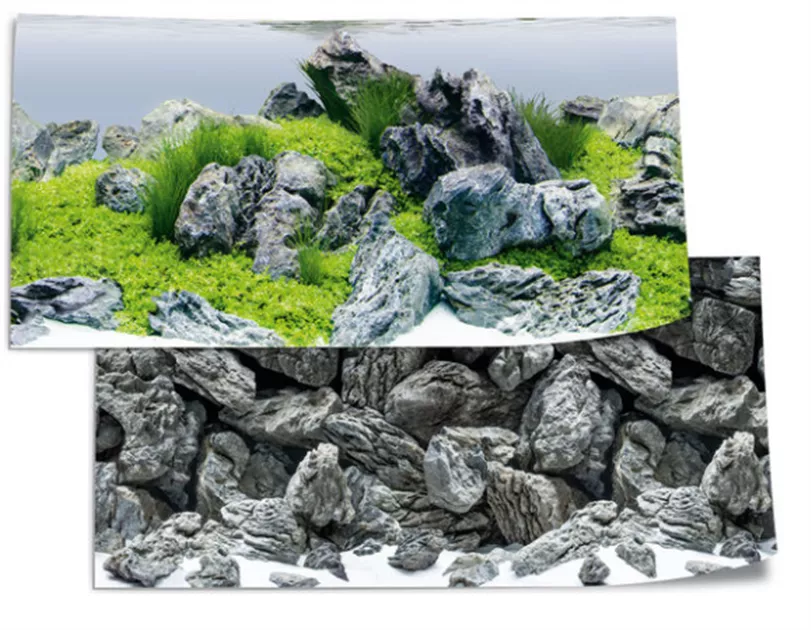 Juwel Poster 4 XL Rock+AquaScape