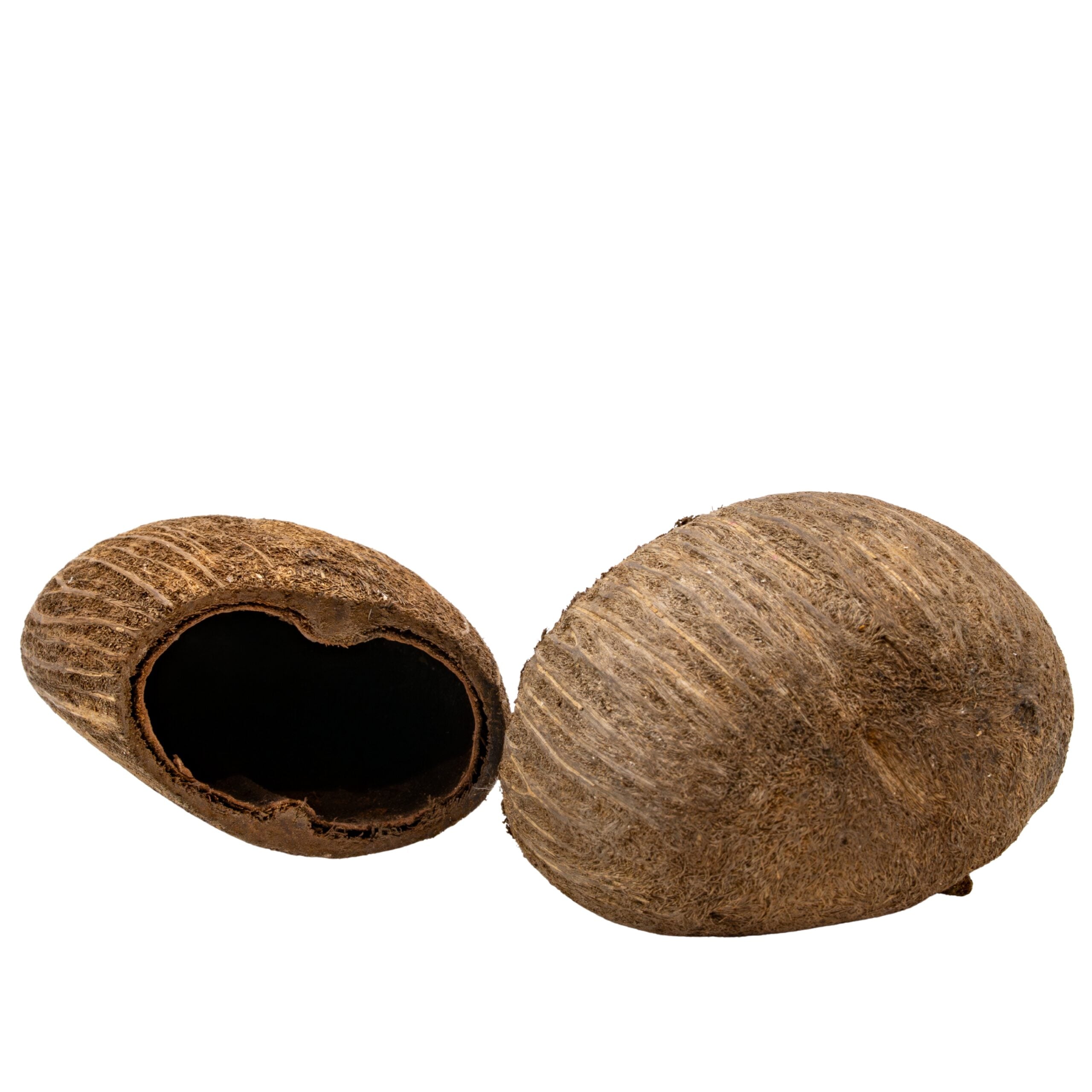Liquid Garden Palm Pod - 2 Stück