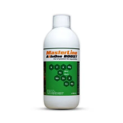MasterLine Crystal Clear
