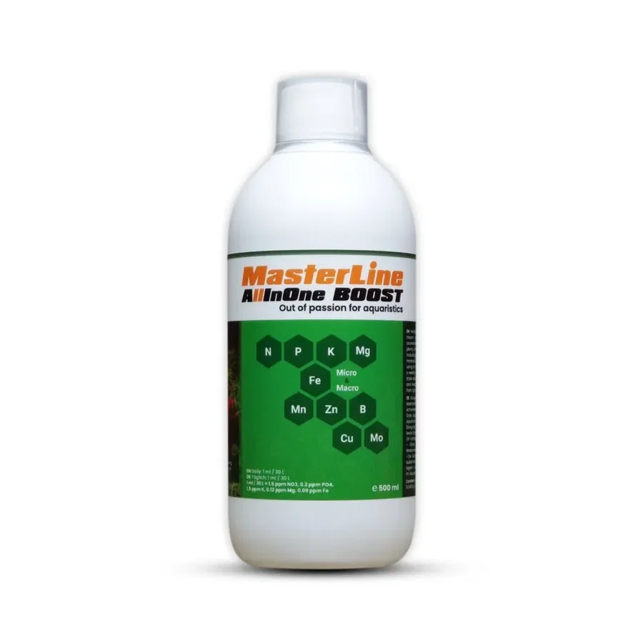 MasterLine Crystal Clear