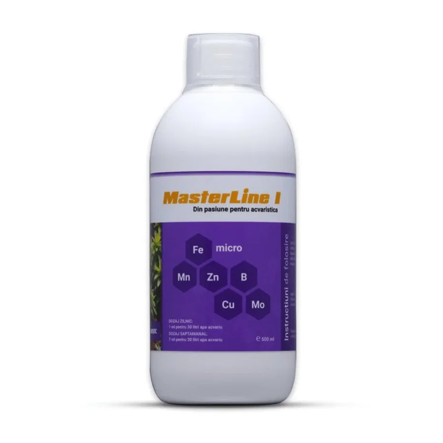 MasterLine I