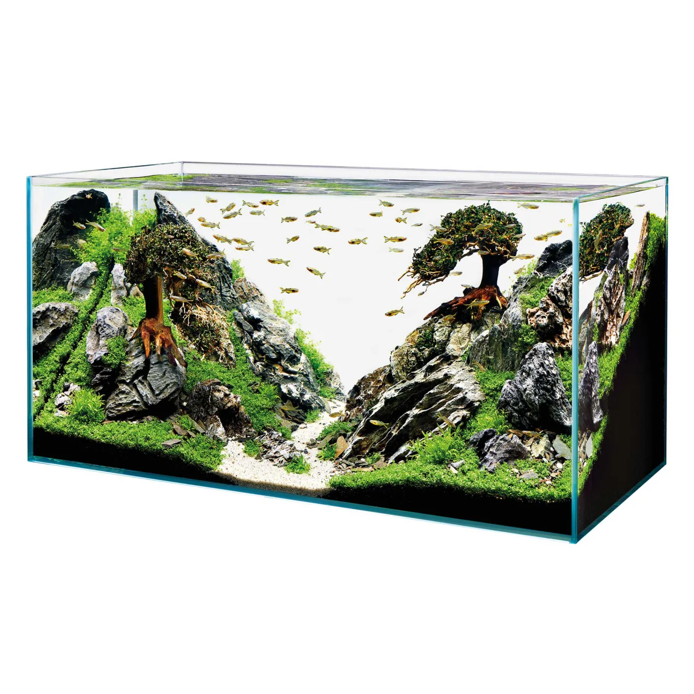 Oase ScaperLine 100 | Optiwhite Aquarium