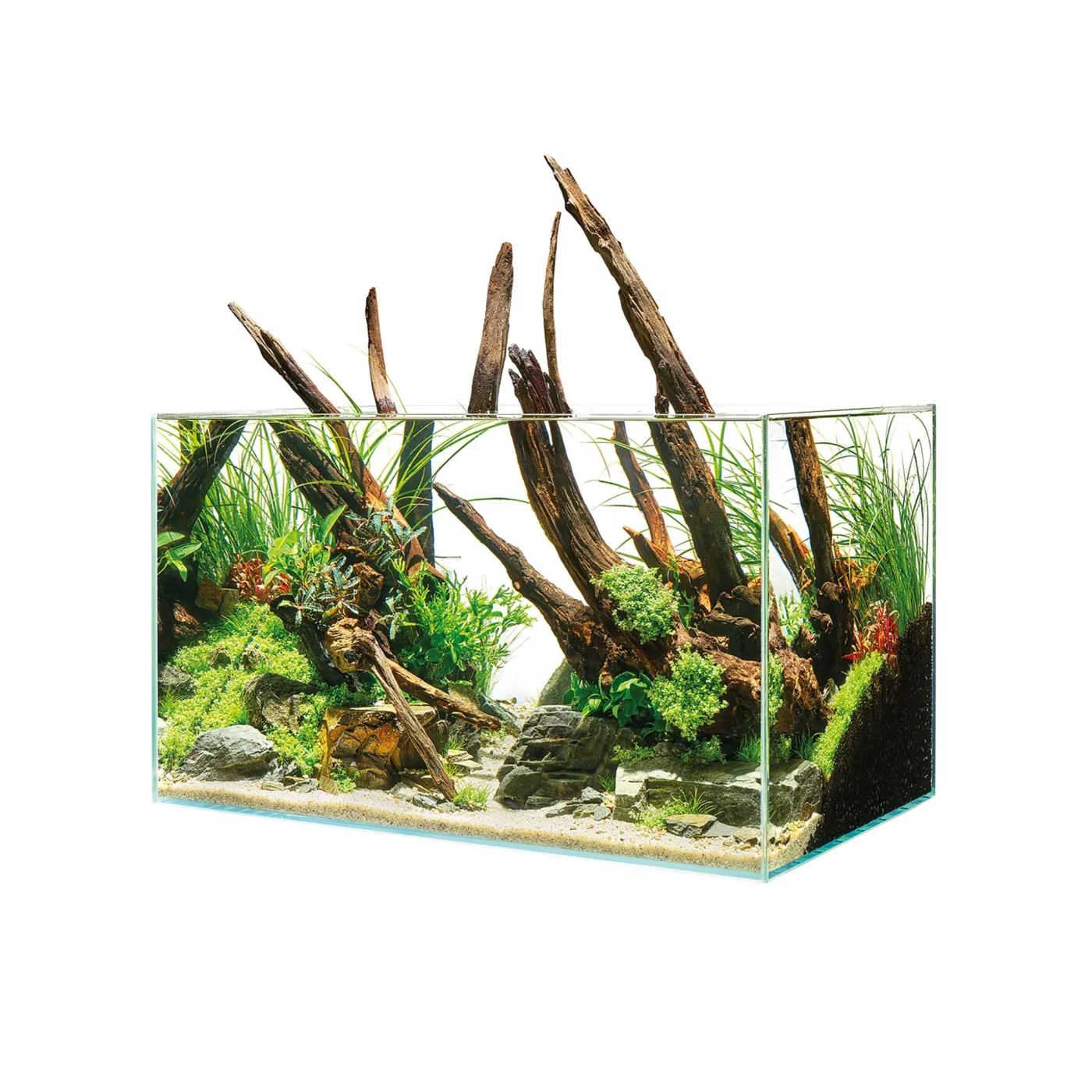 Oase ScaperLine 60 | Optiwhite Aquarium