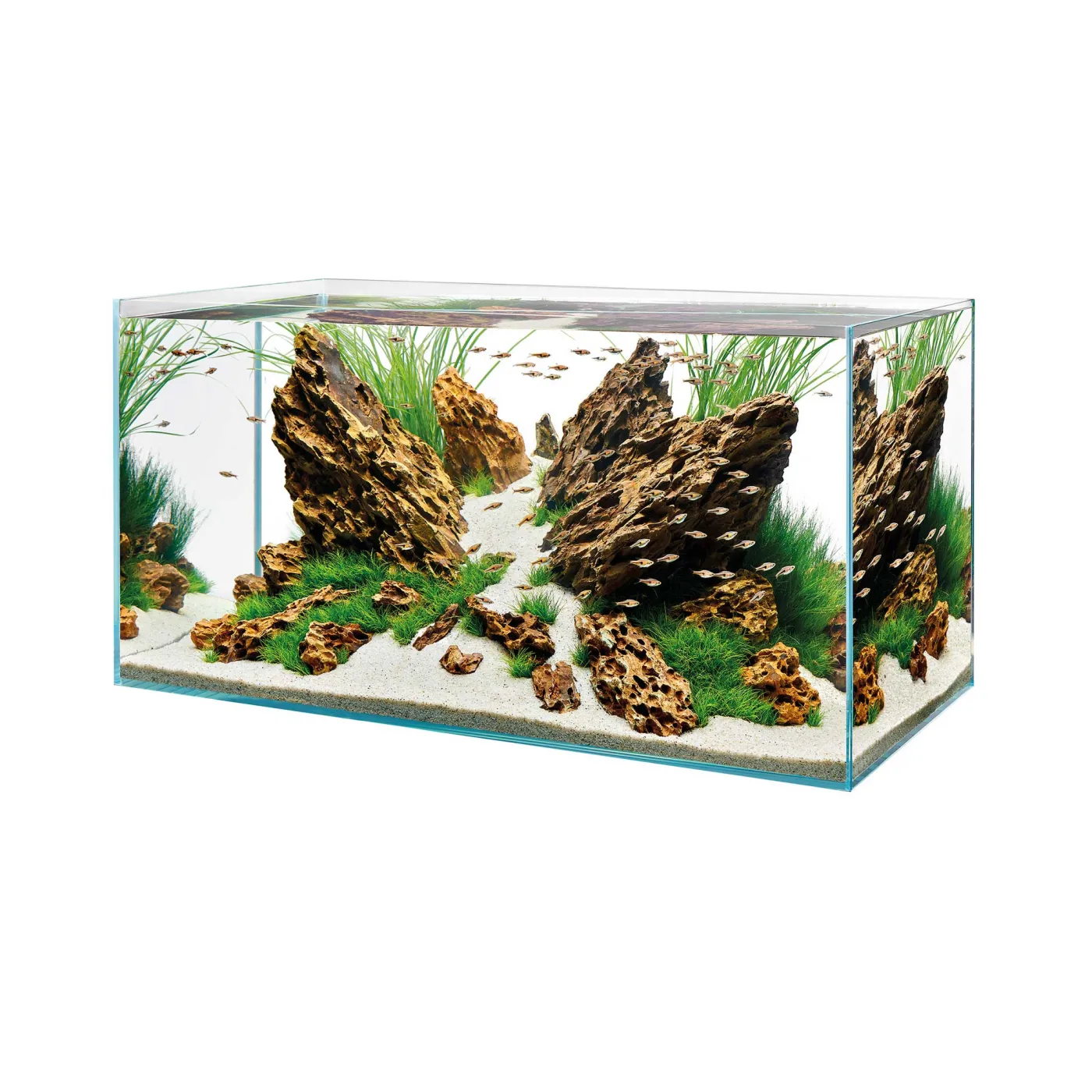 Oase ScaperLine 90 | Optiwhite Aquarium