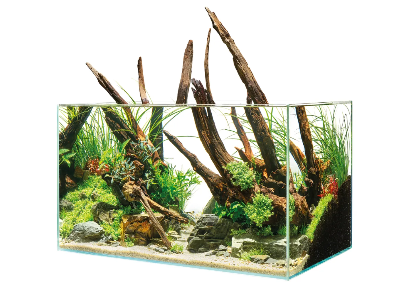 Oase ScaperLine Aquarium