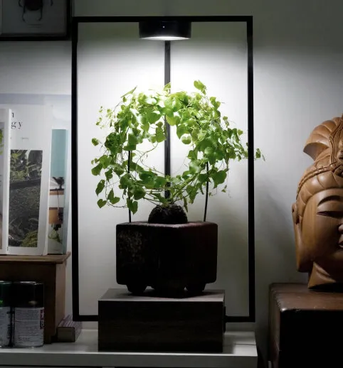 ONF MIST O - Magnetic Plant light