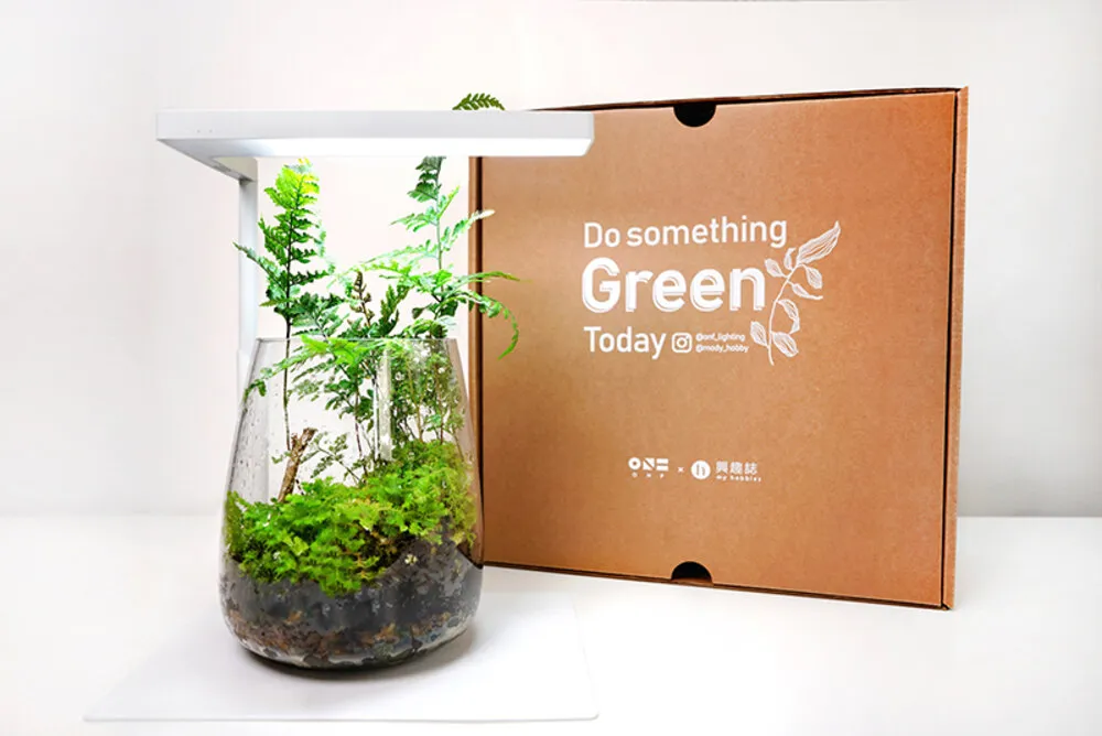 ONF - Moss Micro Landscape Set