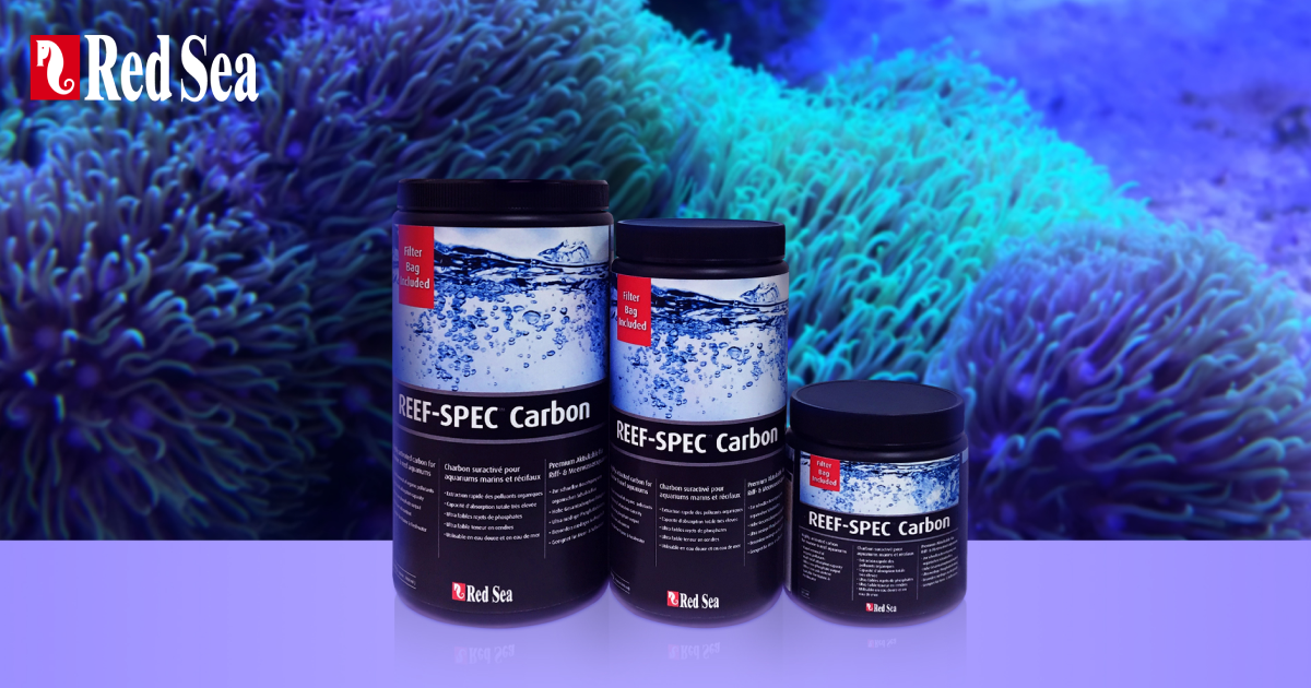Red Sea Reef-Spec Aktivkohle