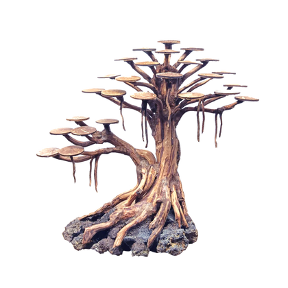 Bonsai Rasamala