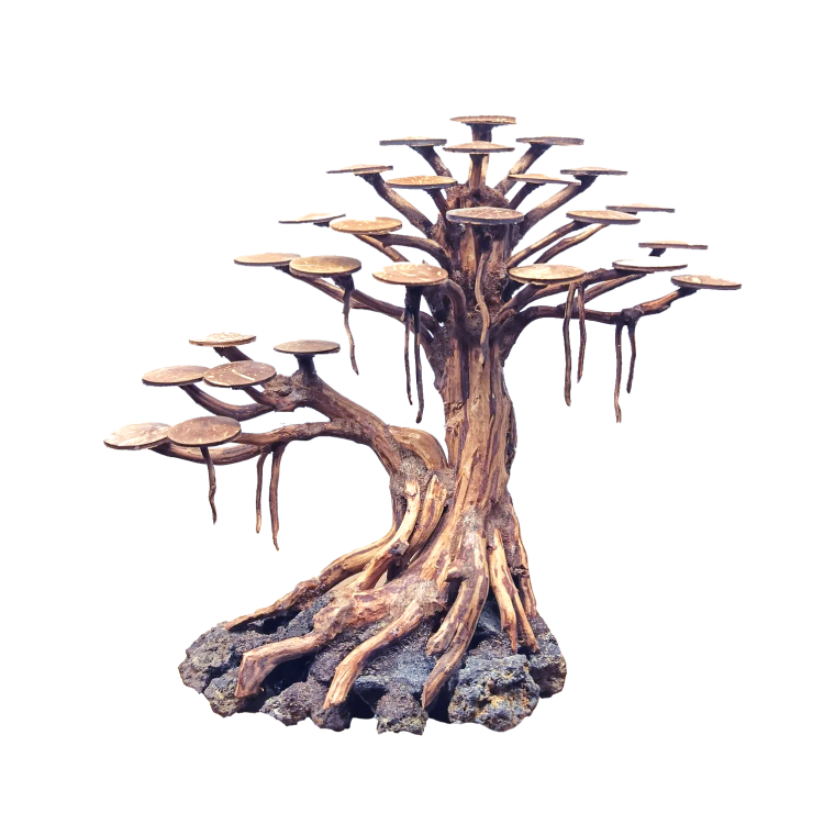 Bonsai Rasamala