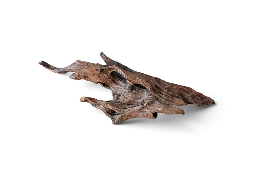Coral Sinker Wood Nr. 117
