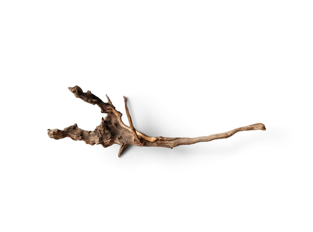 Coral Sinker Wood Nr. 122