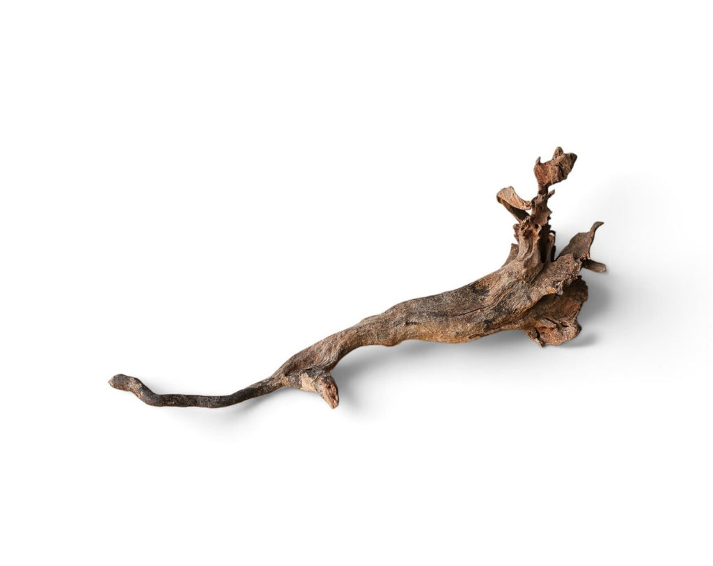 Coral Sinker Wood Nr. 128