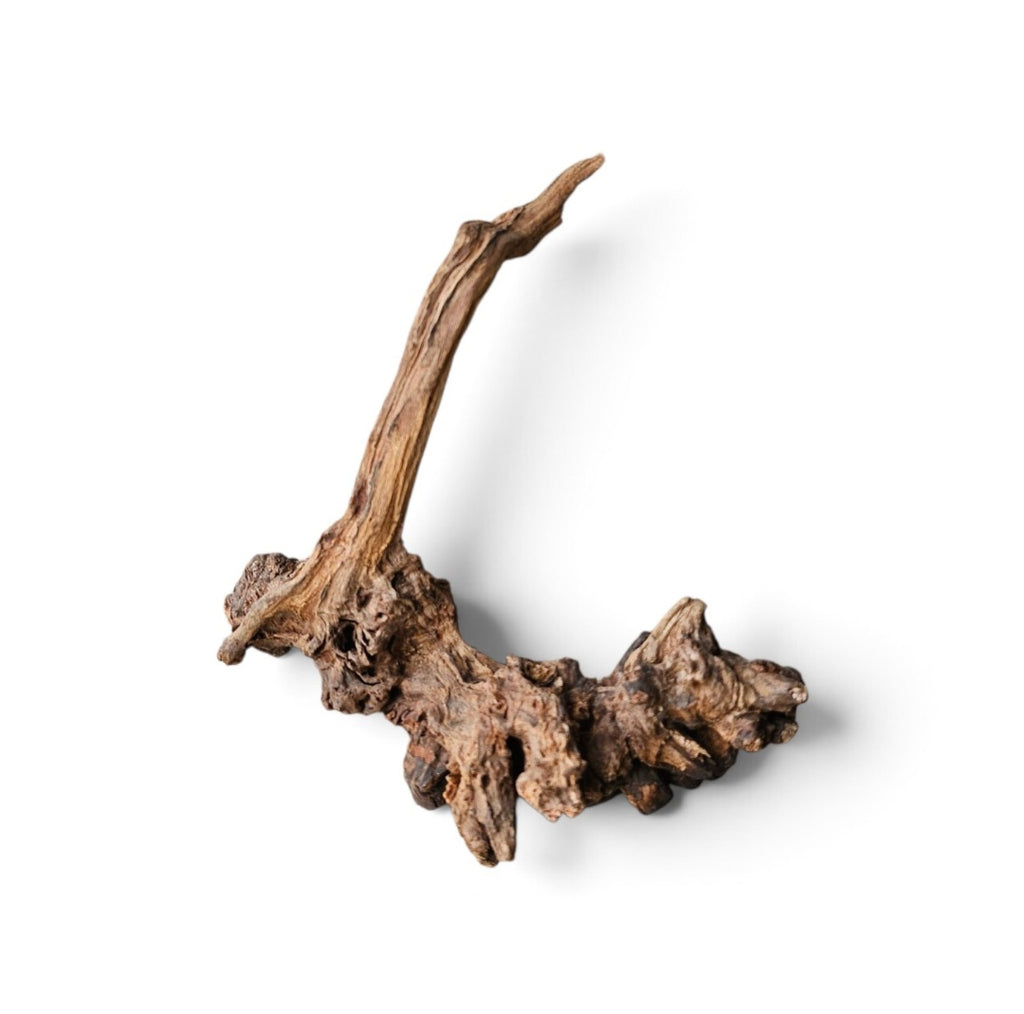 Coral Sinker Wood Nr. 170