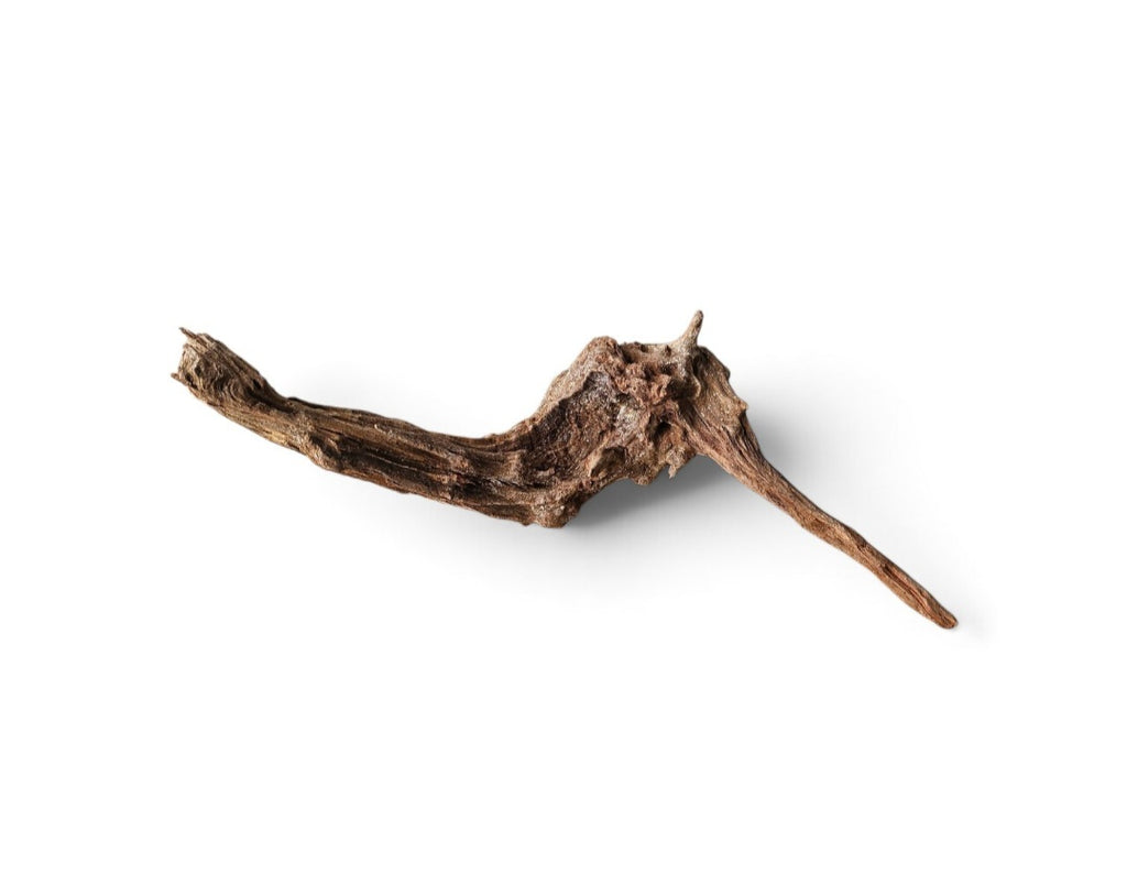 Coral Sinker Wood Nr. 179