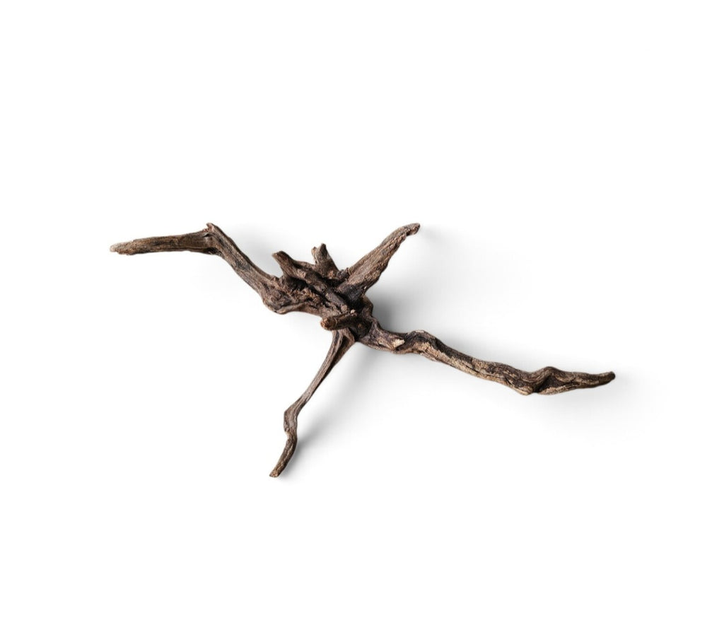 Coral Sinker Wood Nr. 188