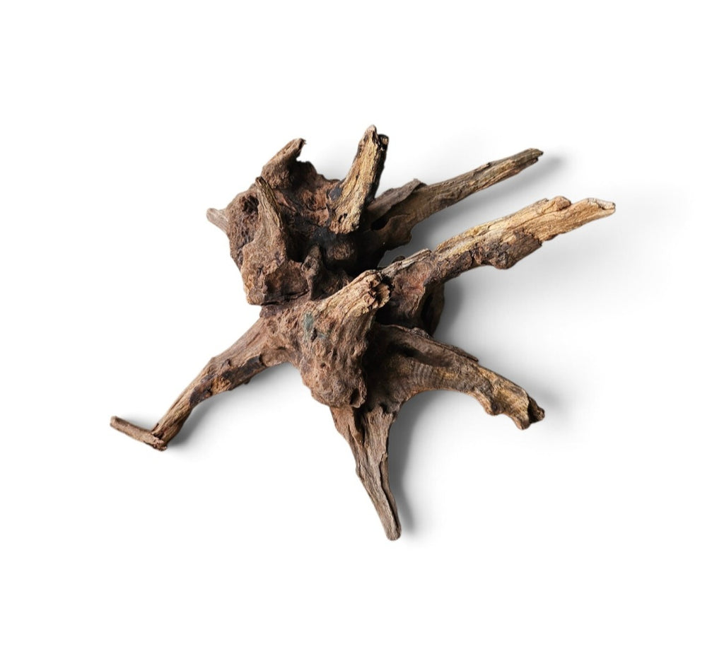 Coral Sinker Wood Nr. 193