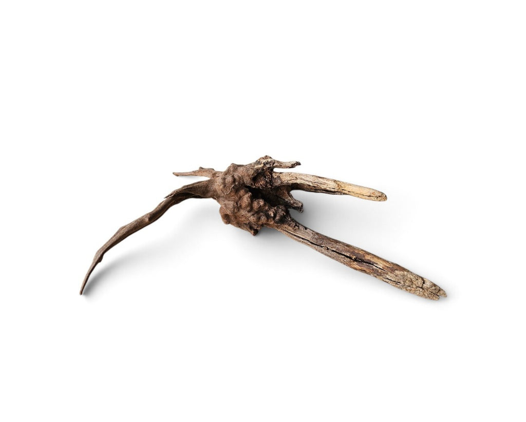 Coral Sinker Wood Nr. 194