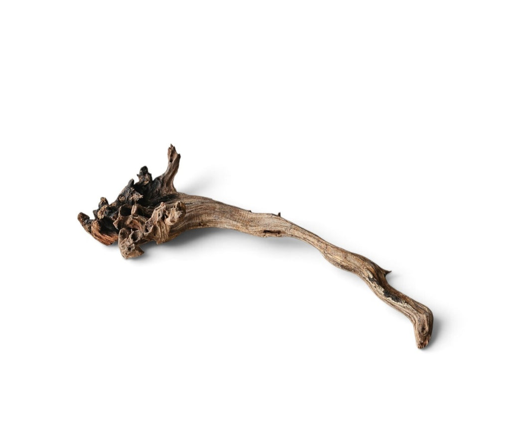 Coral Sinker Wood Nr. 197