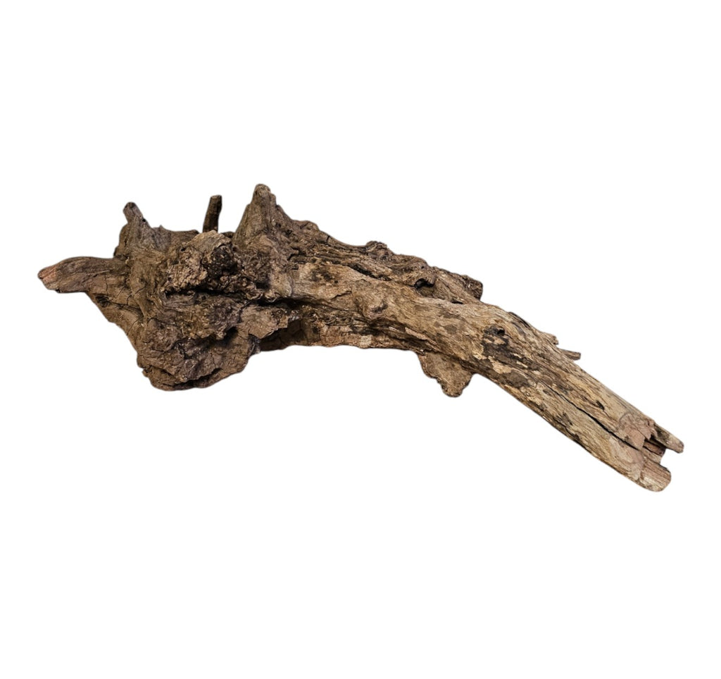 Coral Sinker Wood Nr. 865