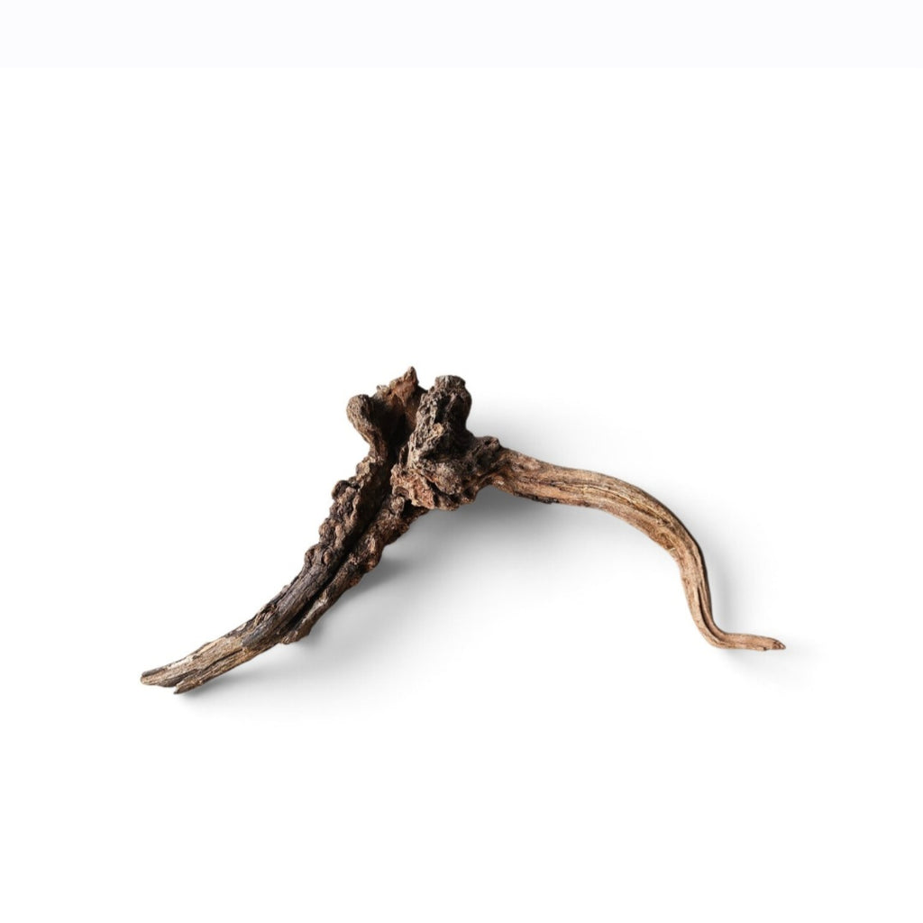 Coral Sinker Wood Nr. 165