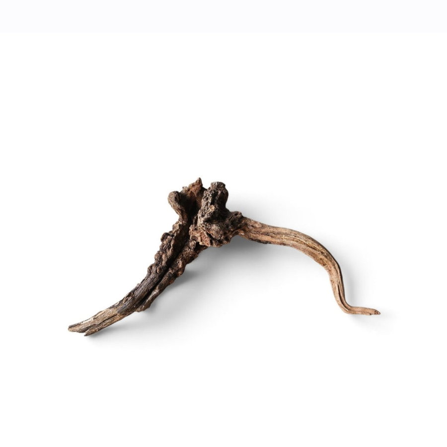 Coral Sinker Wood Nr. 165