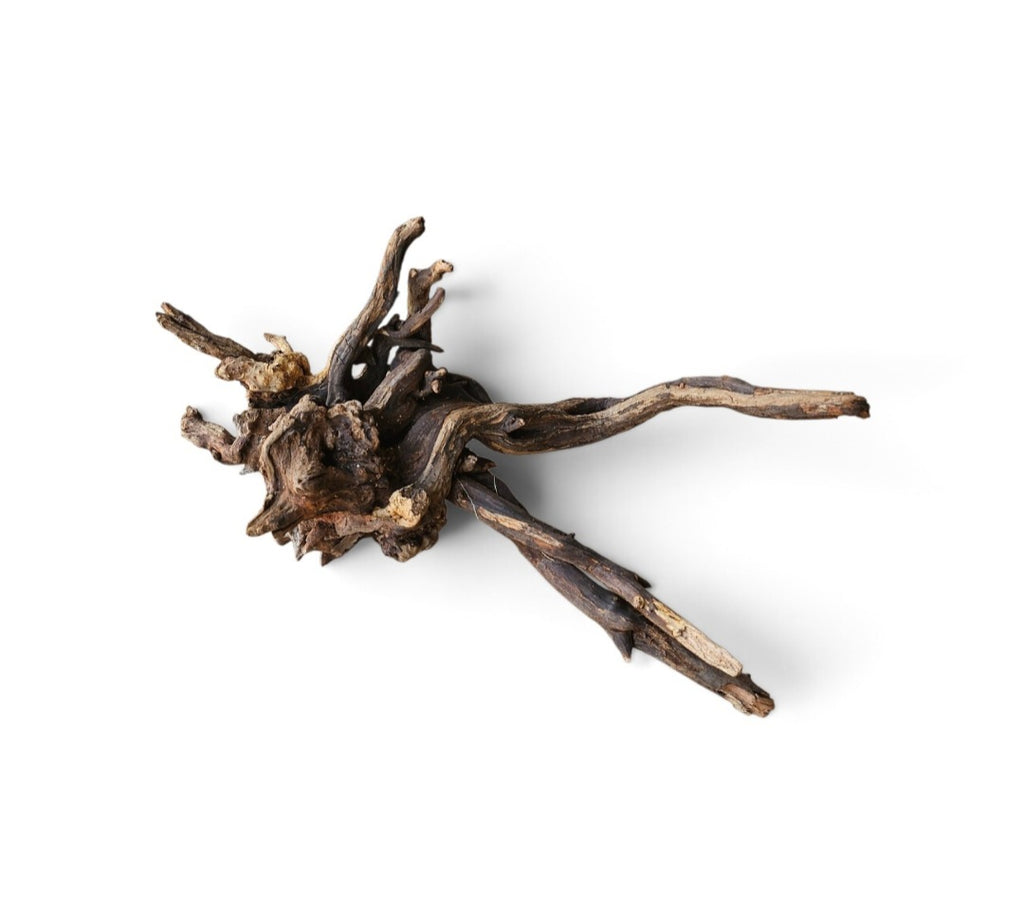 Coral Sinker Wood Nr. 459