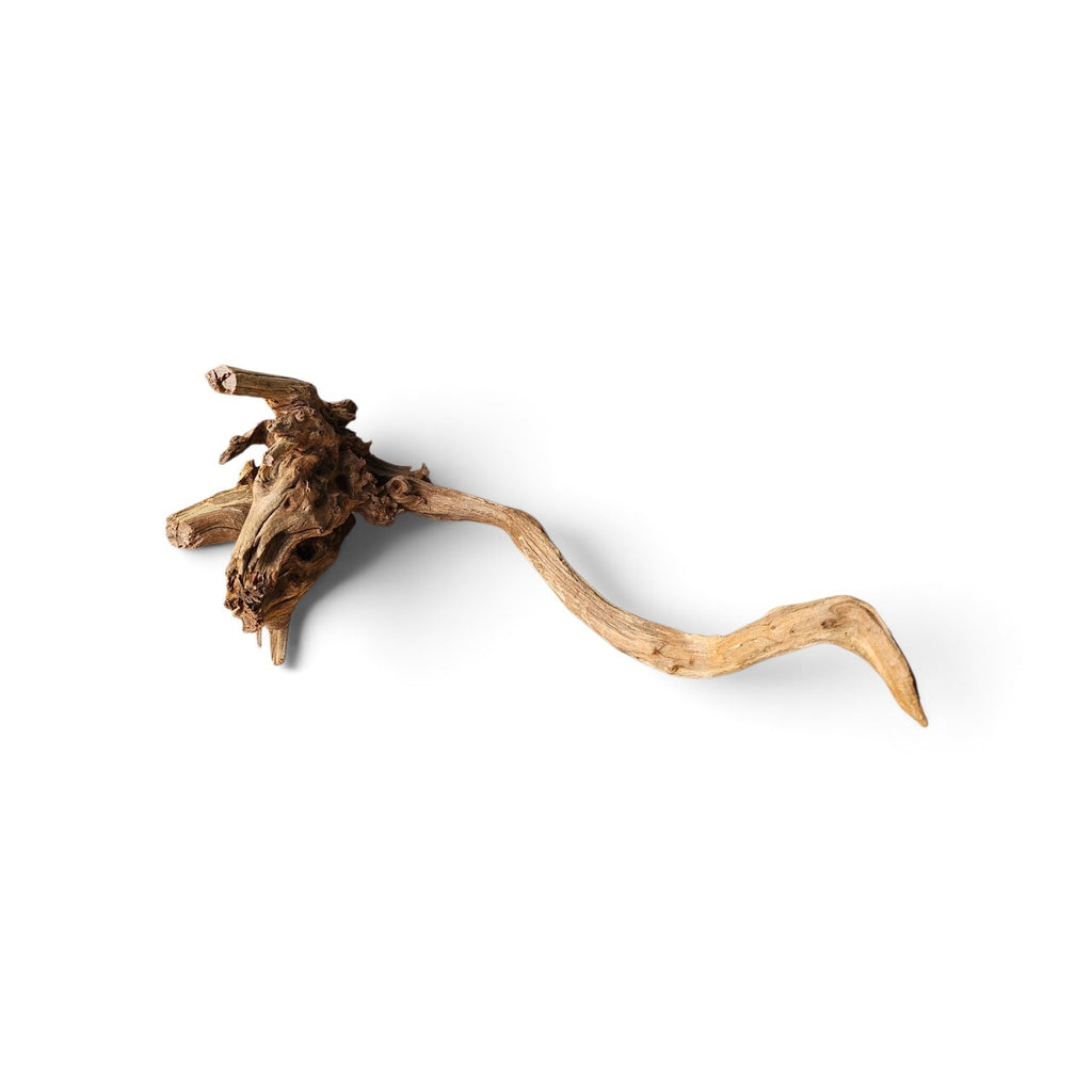 Coral Sinker Wood Nr. 460