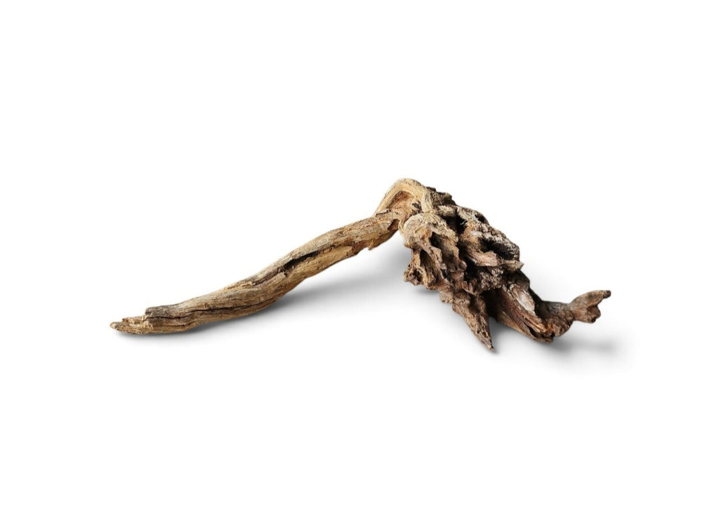 Coral Sinker Wood Nr. 461