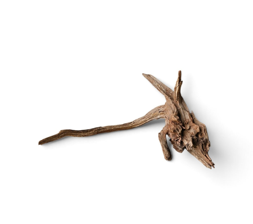 Coral Sinker Wood Nr. 465