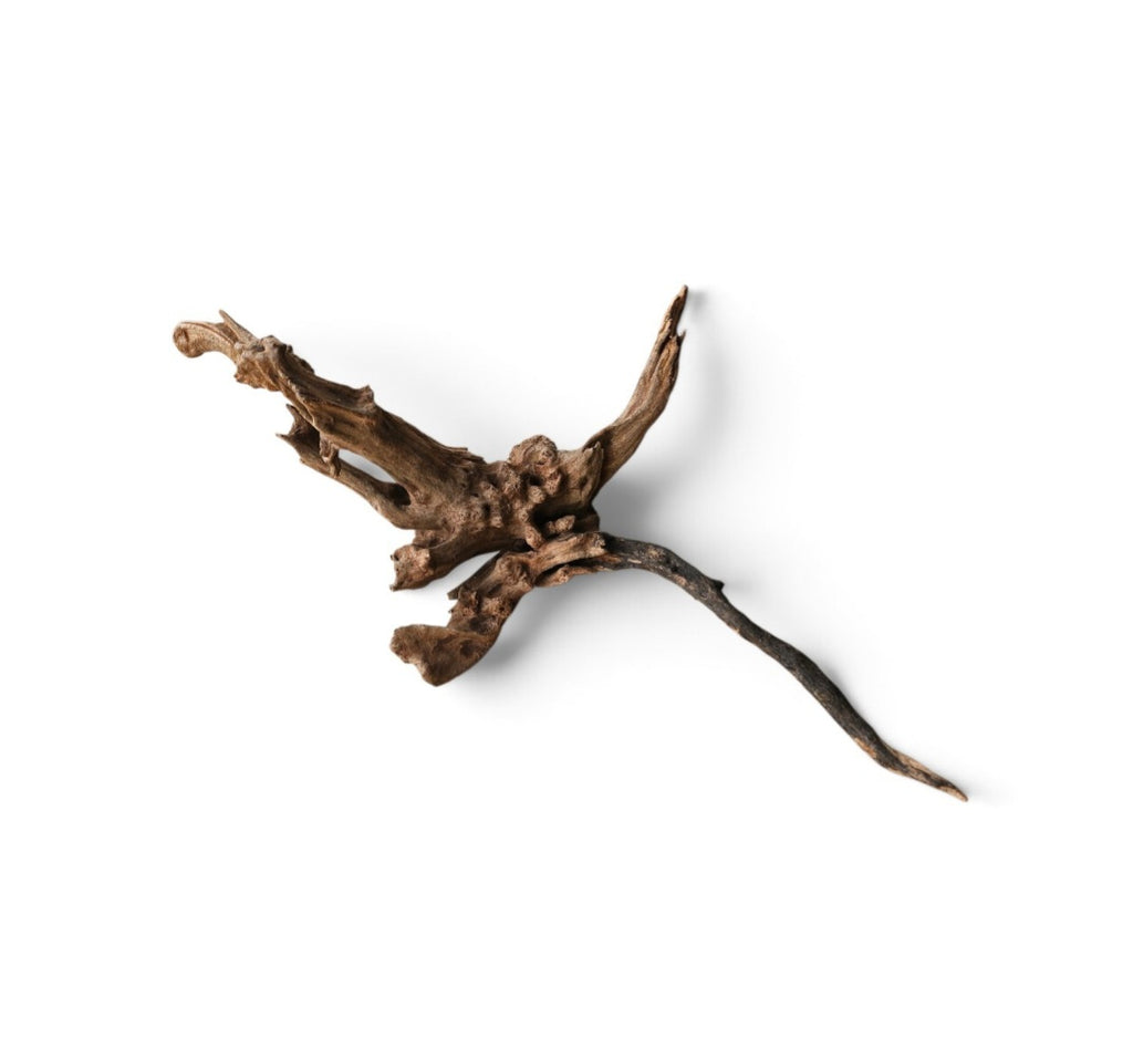 Coral Sinker Wood Nr.553