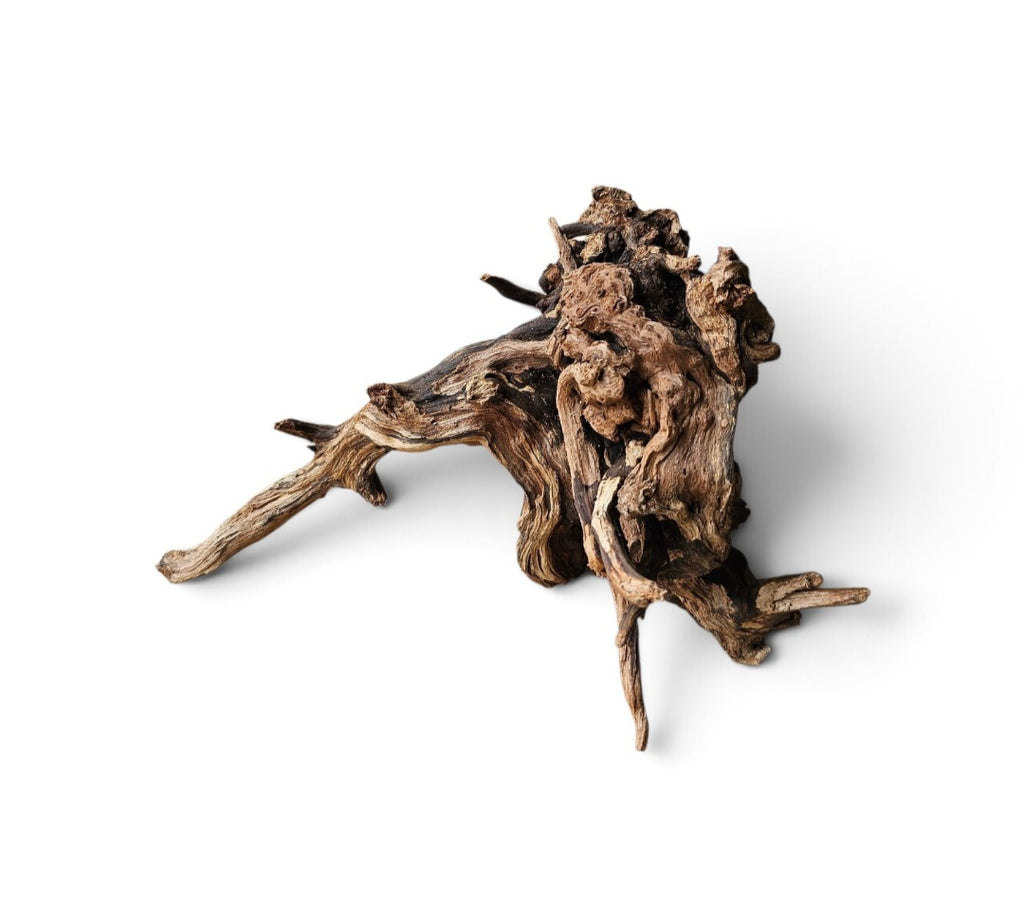 Coral Sinker Wood Nr.559