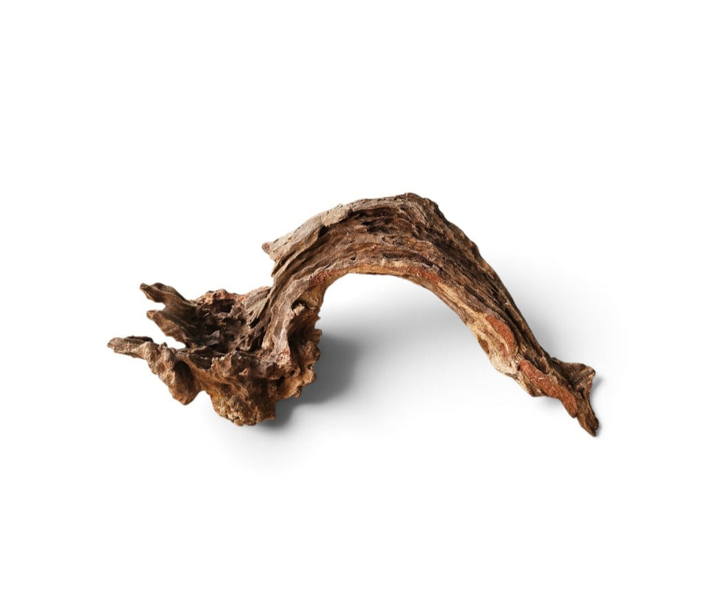 Coral Sinker Wood Nr.562