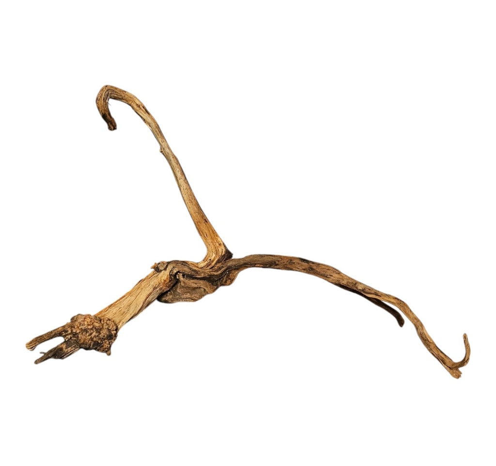 Coral Sinker Wood Nr.565