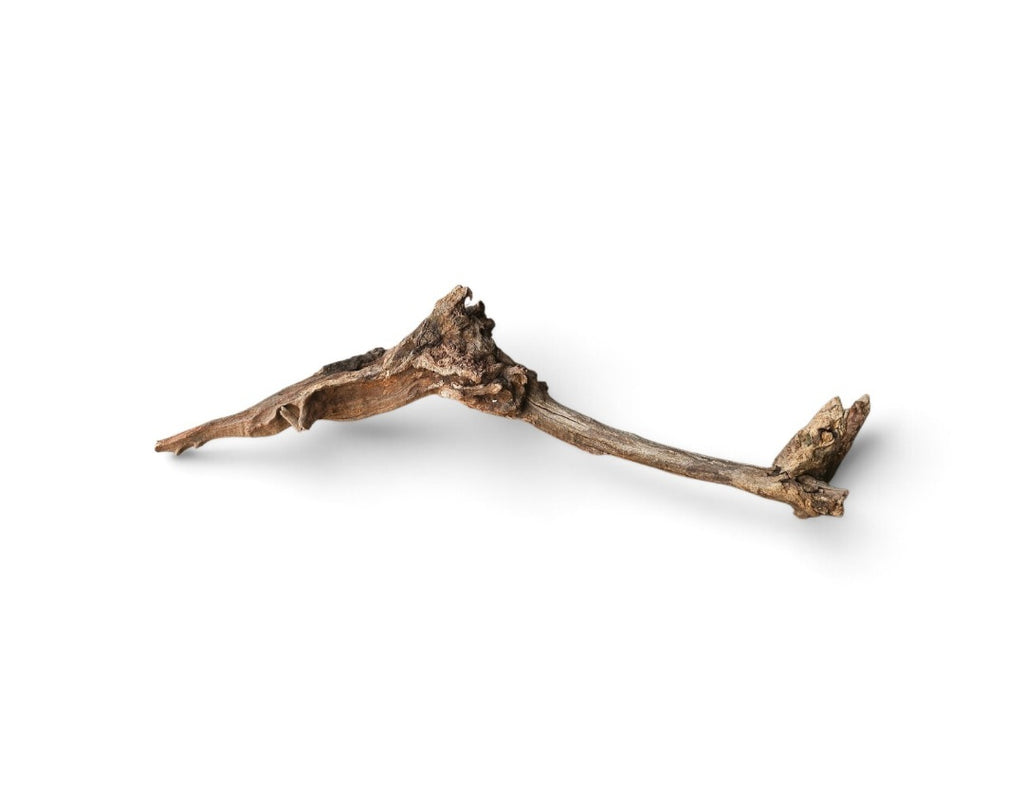 Coral Sinker Wood Nr.566