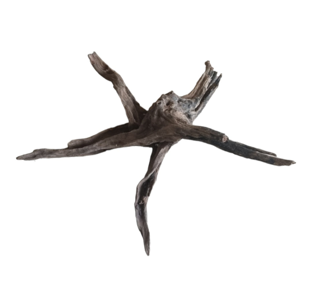 Coral Sinker Wood Nr.603