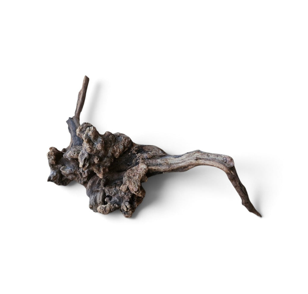 Coral Sinker Wood Nr.604
