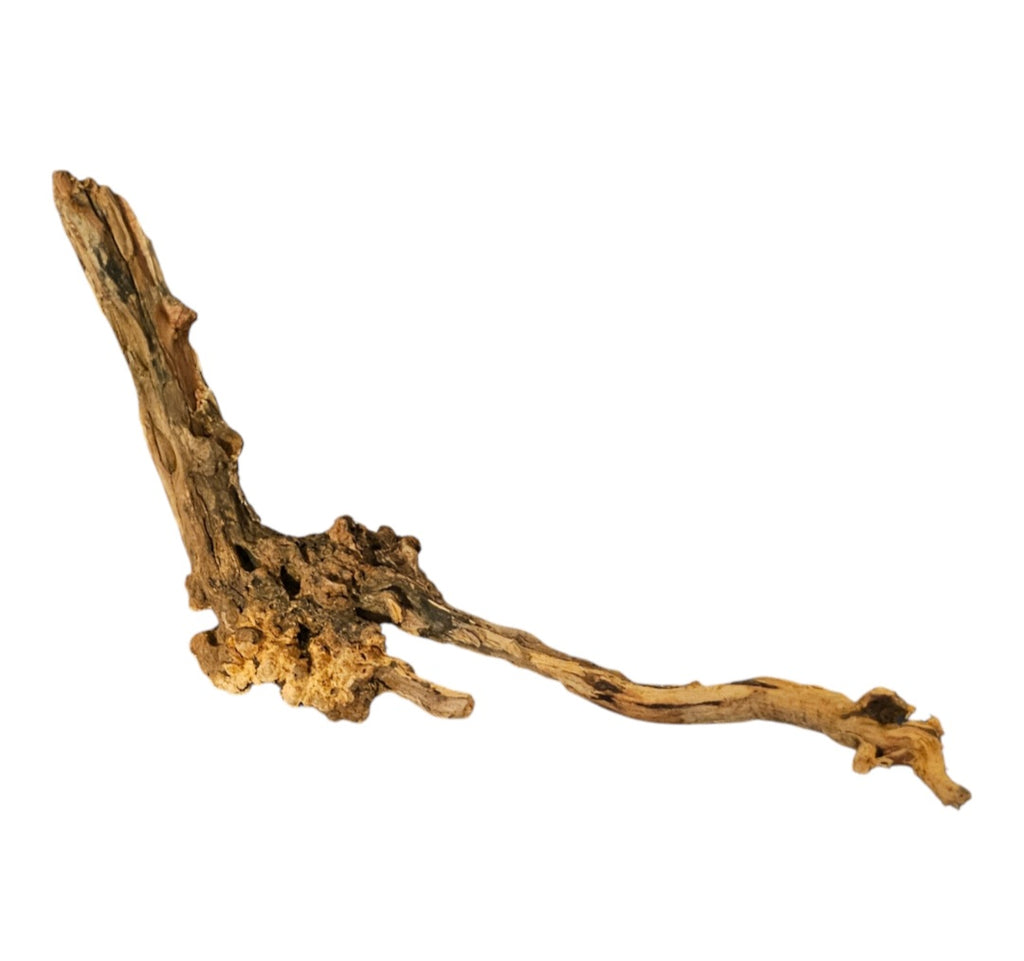 Coral Sinker Wood Nr.609