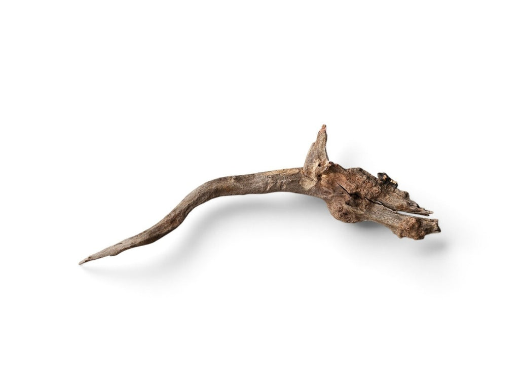 Coral Sinker Wood Nr.612