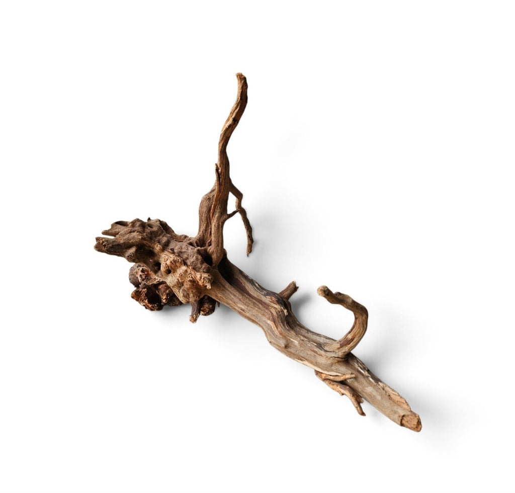 Coral Sinker Wood Nr.613