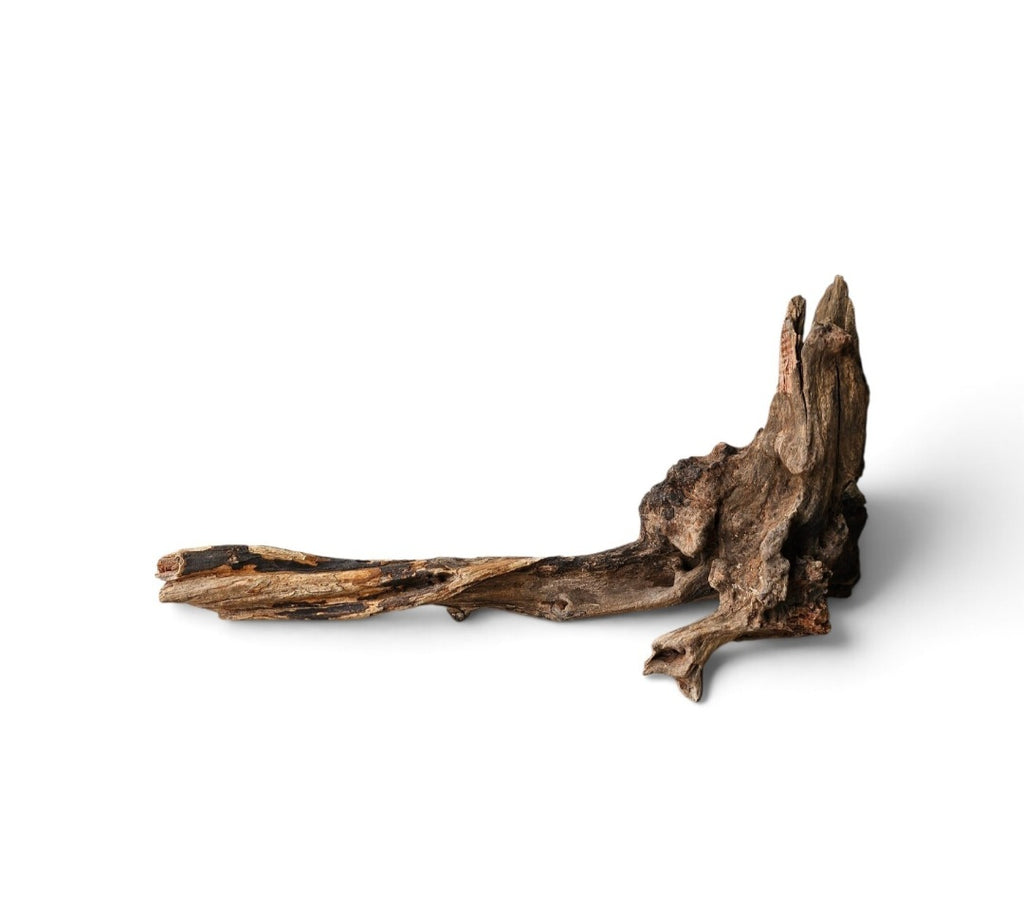 Coral Sinker Wood Nr.614